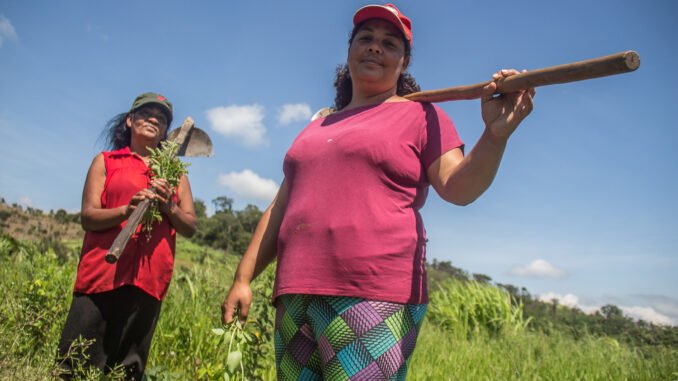 duas mulheres agricultoras familiares com enxada nas mãos cuidando da plantação